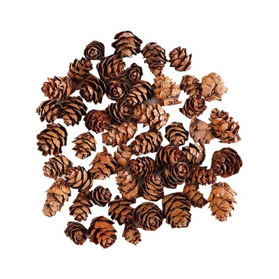 100 Pcs Christmas Pine Cones Small Natural Pine Cones Winter Pinecone Ornamen...