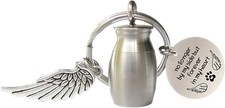 Small Cremation Urn for Pet Ashes Mini Memorial Holder Key Silver