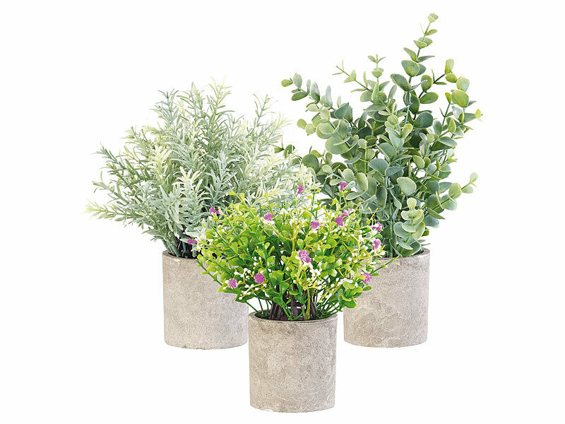 Plantes artificielles Carlo Milano pour pièce sombre et sans entretien