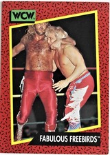 1991 WCW Wrestling IMPEL, You Pick 1-162 (Buy 4 get 45% off)