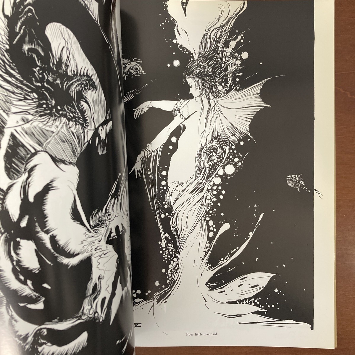 Yoshitaka Amano Art Book Hiten Final Fantasy Guin Saga