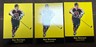 (3) 1991-92 Parkhurst - #221 Ray Bourque All-Star Hockey Cards!