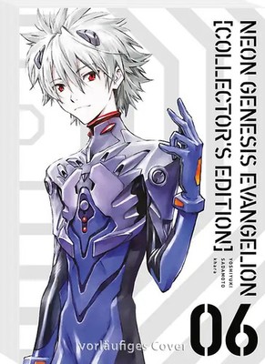 Neon Genesis Evangelion   Perfect Edition 6