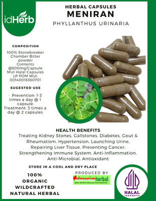 [idHerb] 100-800 Kapseln Meniran Chamberbitter Gripeweed Phyllanthus Urinaria