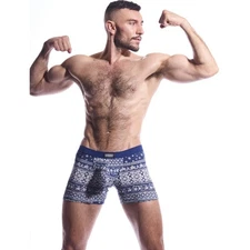 NWT N2N Bodywear Indigo Boxer Brief Underwear Sz L