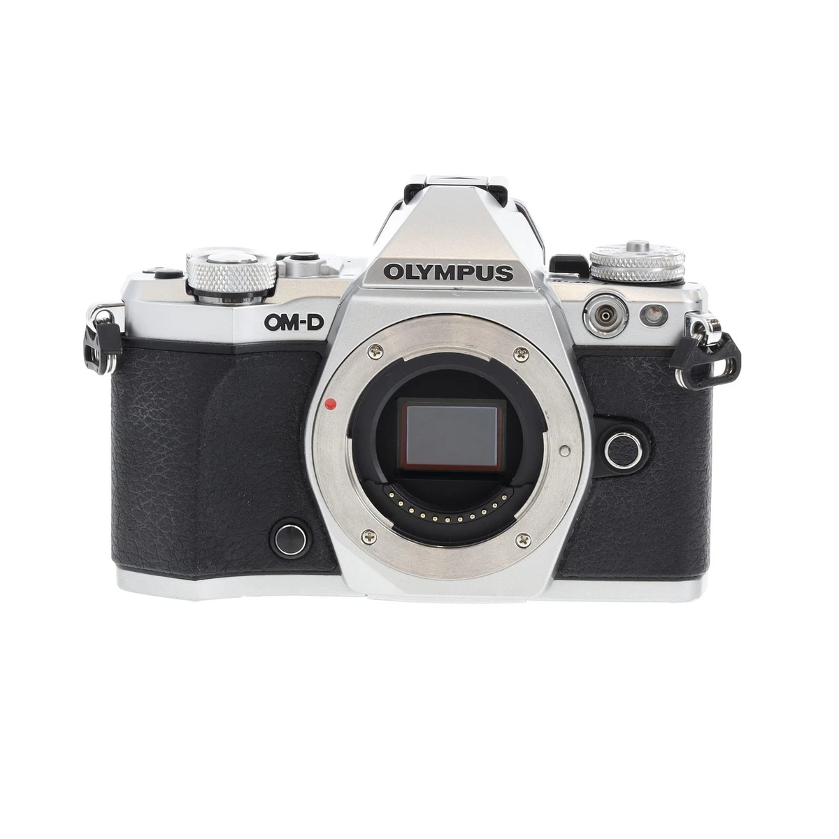 OLYMPUS OM-D E-M5MarkⅡ (美品) OLYMPUS OM-D E-M5MarkⅡ (美品) ミラーレス一眼 OM-D：OLYMPUS OM-D E