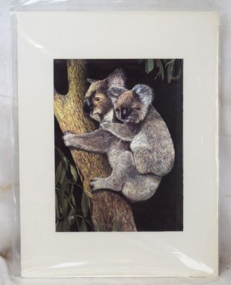 Dufex Foil Metalic Matted Art Print Koala Bears New