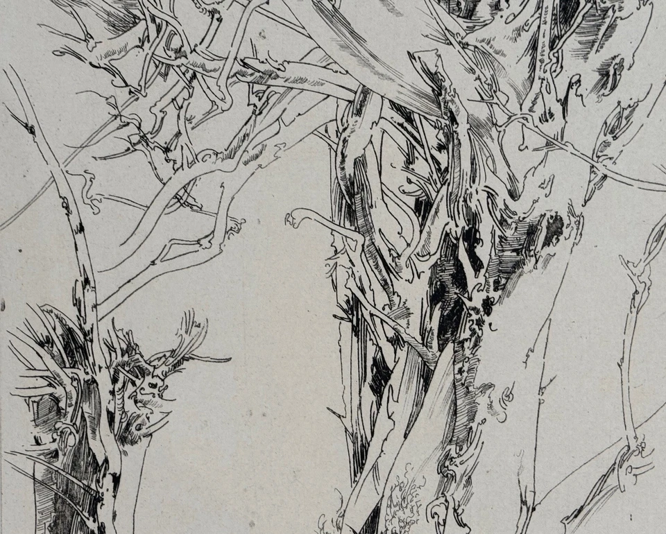 Horst Janssen, Langenhorn, Radierung, 1985, handsigniert - Bild 3 von 4