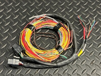 DTA S60PRO Wiring Harness (JG)