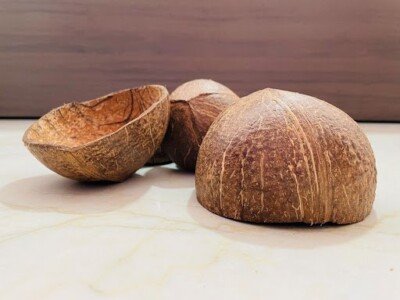 Hand Grinded Shinny Coconut Shell Halves Eco-Friendly Mini Bowls