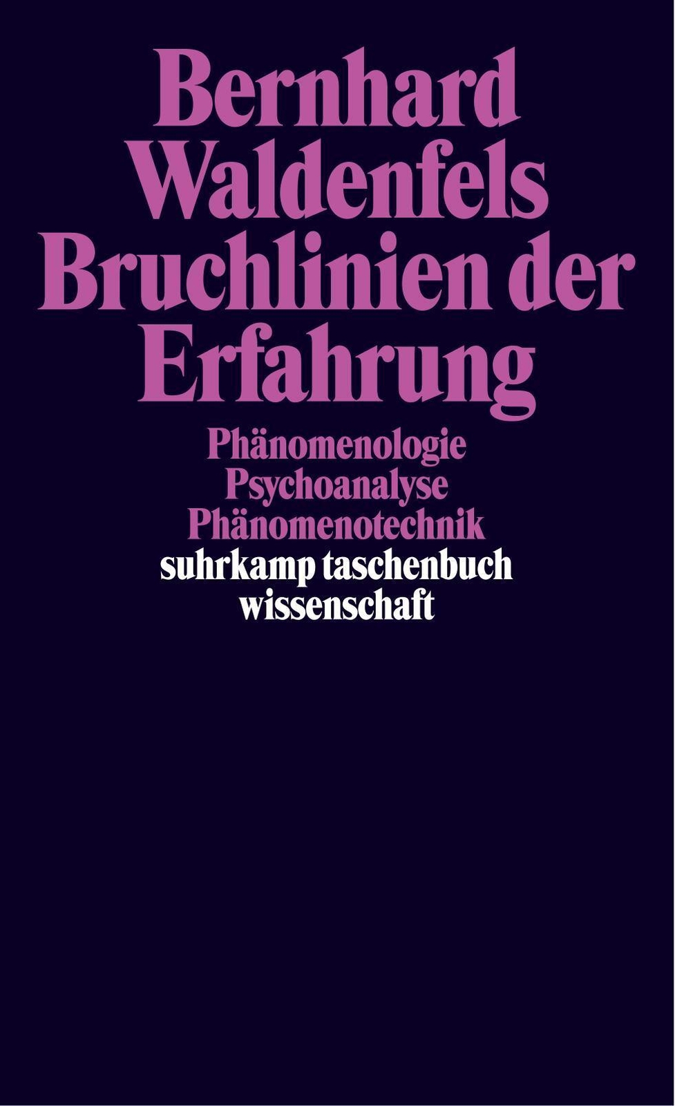 Thumbnail - Bruchlinien Der Erfahrung | Phänomenologie - Psychoanalyse-