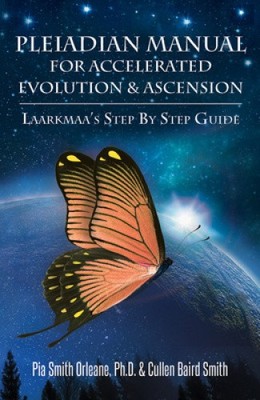 Plejadisches Handbuch für beschleunigte Evolution & Aufstieg: Laarkmaas Schritt für Schritt