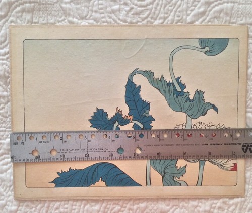 Woodblock Print Shibata Zeshin ~ Poppy ~ Hanakurabe Portfolio 1877 - Picture 3 of 8