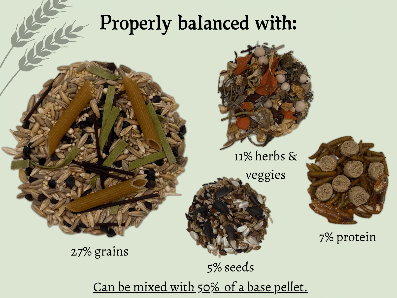 Rat Daily Diet - Shunamite, 40+ natural ingredients