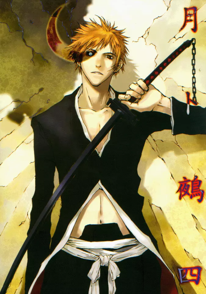 Complete Fullbring of Kurosaki  Bleach anime, Bleach fanart, Bleach manga