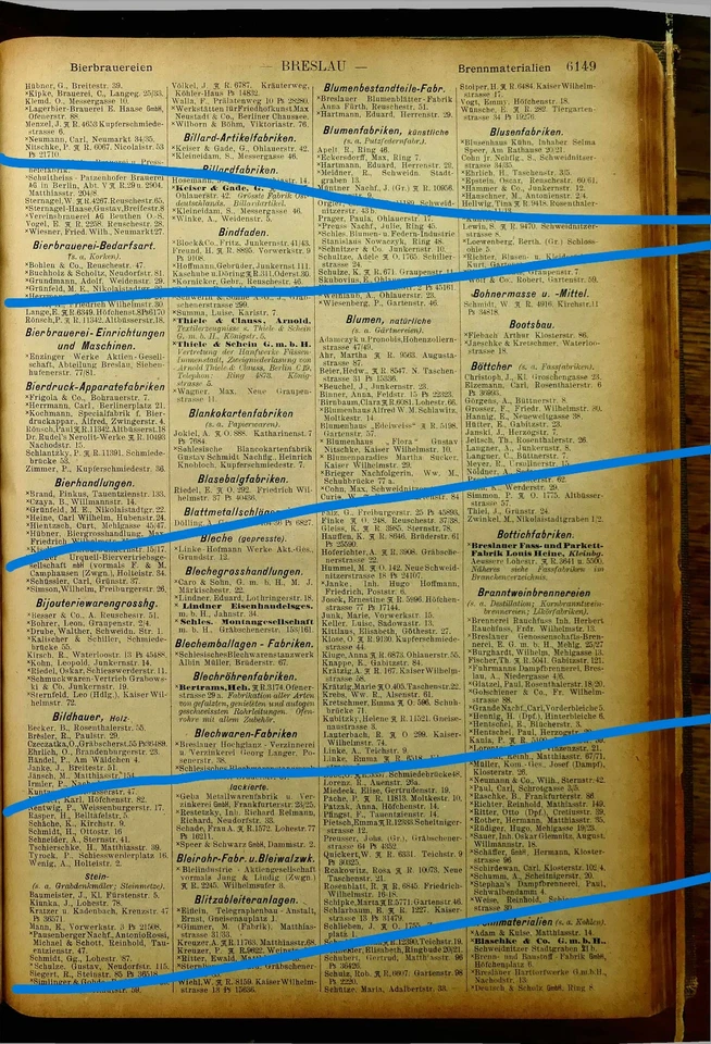 Branchenbuch 1904-22: Neusalz, Neustadt OS, Neuwaldau, Nicolai, Nieder-Hermsdorf - Bild 2 von 4