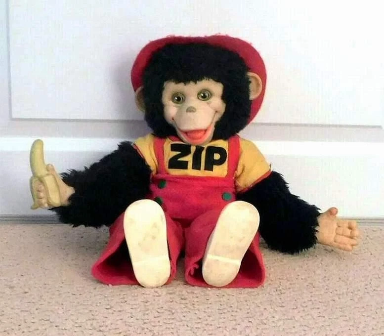 Zippy Monkey Just Listed 2026