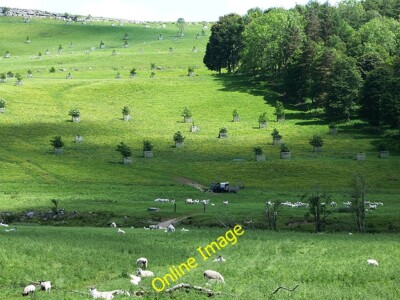 Foto 6x4 Hügel unter Burtree Scar Helton Teil des Lowther Parks Est c2014