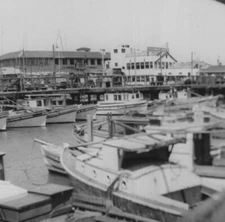 1950s Fishing Boats Docked Harbor Waterfront Scene Seafood Signs Visible