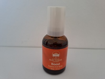 Boost Oral Spray AUB 30 ML I 1 Stück I MHD 11/2025