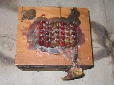 Demonic Nasty  Pentagrams Chicken Foot Dybbuk Vessel