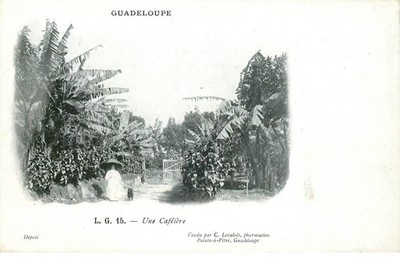 GUADELOUPE UNE COFFEIERE (Edit C.Levalois)