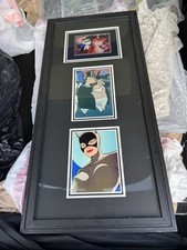 Batman Animated Series Framed Cels Harley Quinn Catwoman