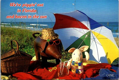 We're Pigging Out in Florida FL Bacon in the Sun Pigs Umbrella Novelty Postcard