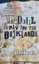 The Devil to Pay in the Backlands, João Guimarães Rosa, Like New!