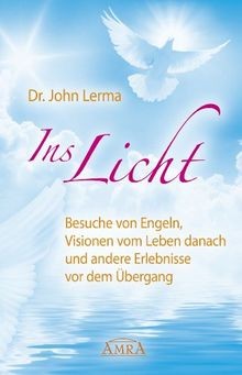 Ins Licht. Besuche von Engeln, Visionen vom Leben d... | Buch | Zustand sehr gut