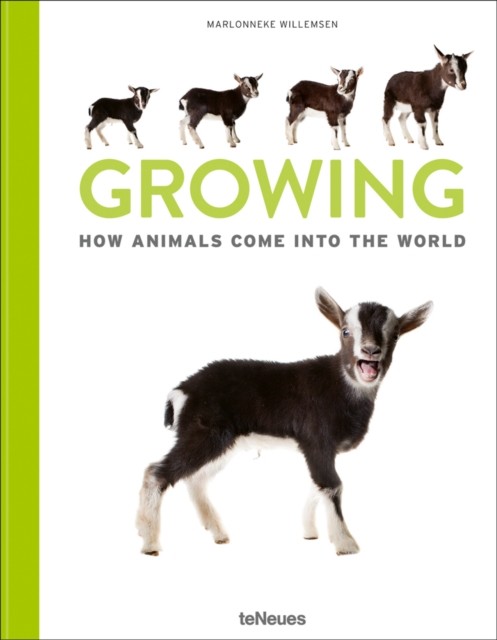 Growing How animals come into our world by Marlonneke Willemsen (Hardback Book)