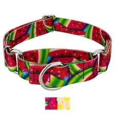 Country Brook Petz® Martingale Dog Collar - Tasty Collection