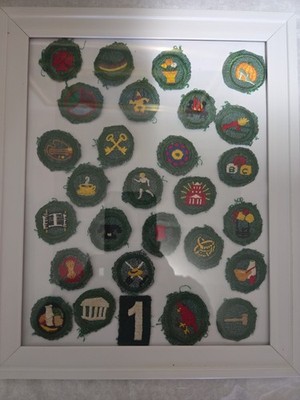1940s Girl Scouts Merit Badge 1940s Lot (28) Nicely Framed