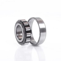 Zylinderrollenlager N1016 K.Dtvsp ID 80Mm AD 125Mm Breite22Mm FAG