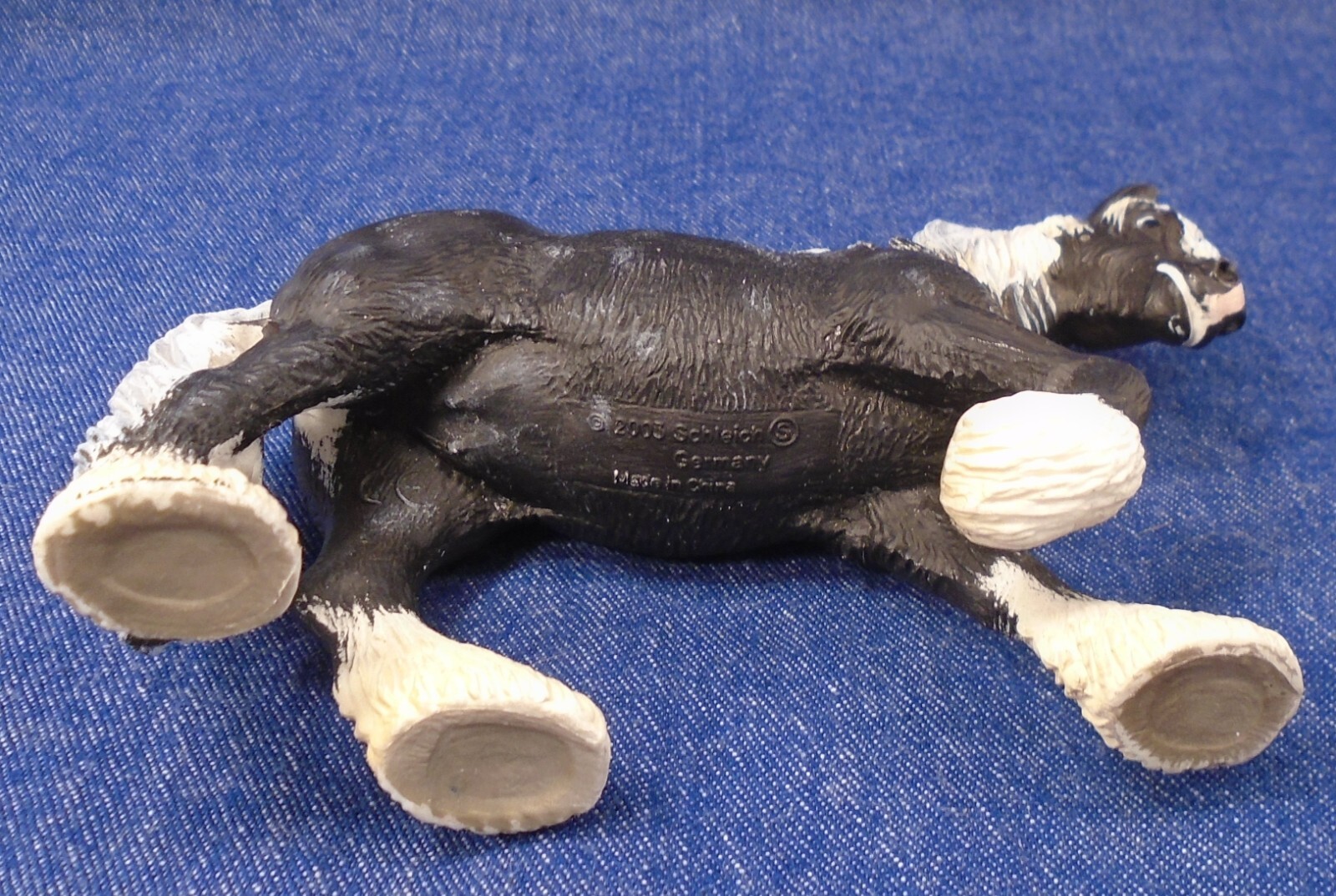 Picture 5 of 5