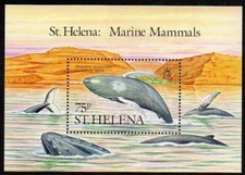 St Helena 1987 Sc #487 SG #MS513 Humpback Whale souvenir sheet MNH