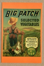 VEGETABLE BOX ca1930, LABEL Big Patch POSTCARD