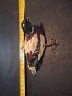  Duck Lures Musky Size — photo 3