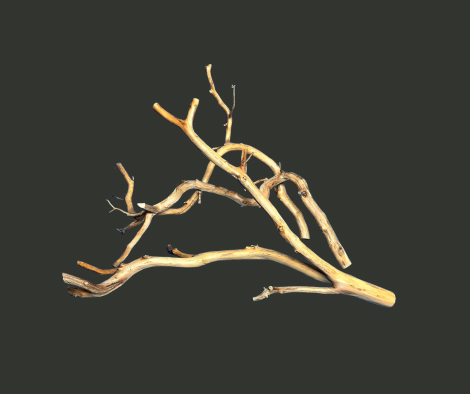 Aquarium Fish Tank Terrarium Aquascape Reptile Large Manzanita Branches 3 Pieces