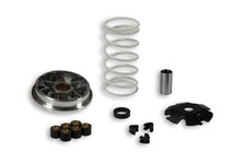 NUOVO KIT VARIATORE MALOSSI MULTIVAR 519019 SCOOTER PIAGGIO FREE 50 2T <-2000