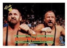 1989 Classic WWF #132 The Bushwhackers (Butch & Luke)