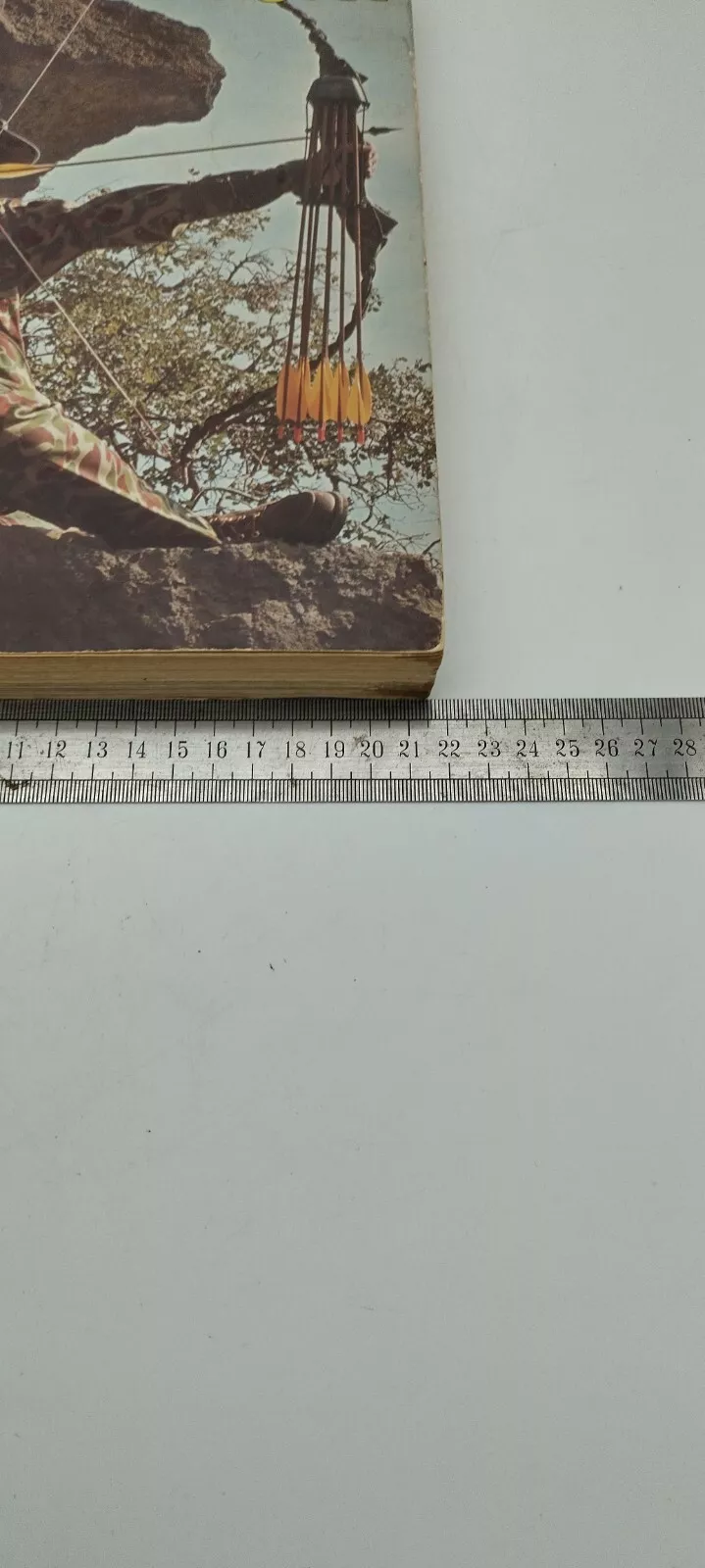 Picture 12 of 13