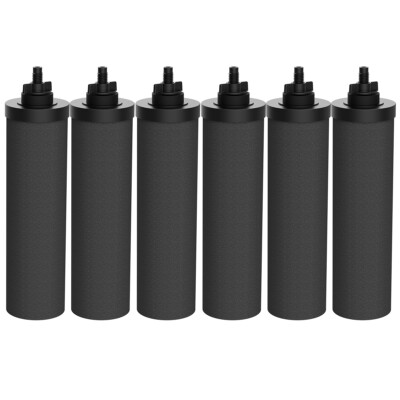 6xActivated Carbon Water Filter Blk Purification Element FStainless Steel System