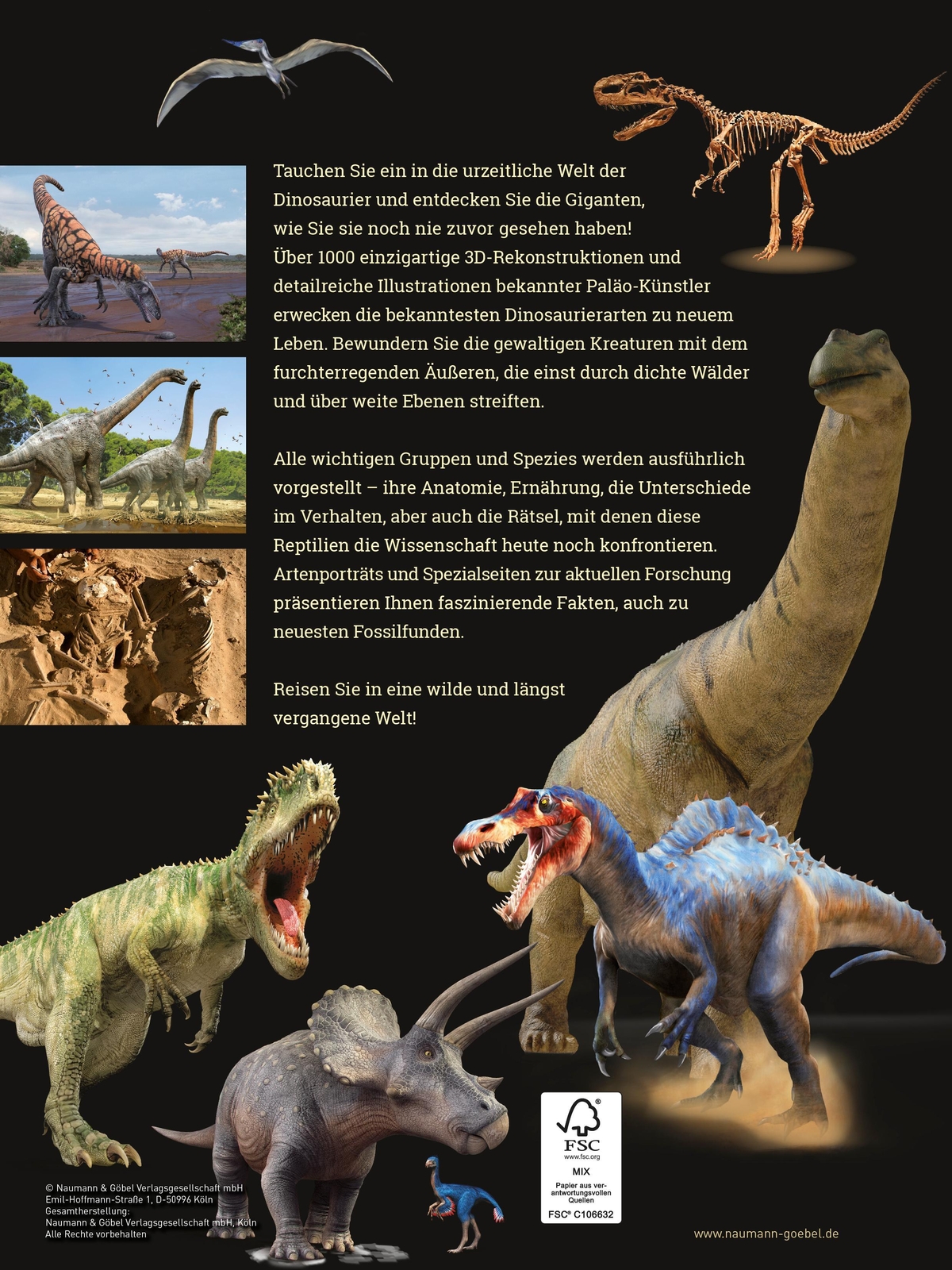 Thumbnail - Dinosaurier. Evolution, Arten, Untergang | Fernando Novas (u. A.) |