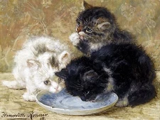 THREE KITTENS Accent Tile Mural Kitchen Bathroom Wall Backsplash 8x6