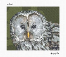 Ural Owl Needlepoint Kit or Canvas