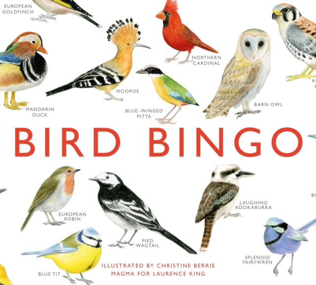 Bird Bingo by Christine Berrie CARDS / POSTCARDS - Image 5