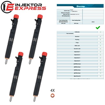 4x EJBR01801A Einspritzdüse Injektor Renault Clio Kangoo 1,5 dCi EJBR01801Z