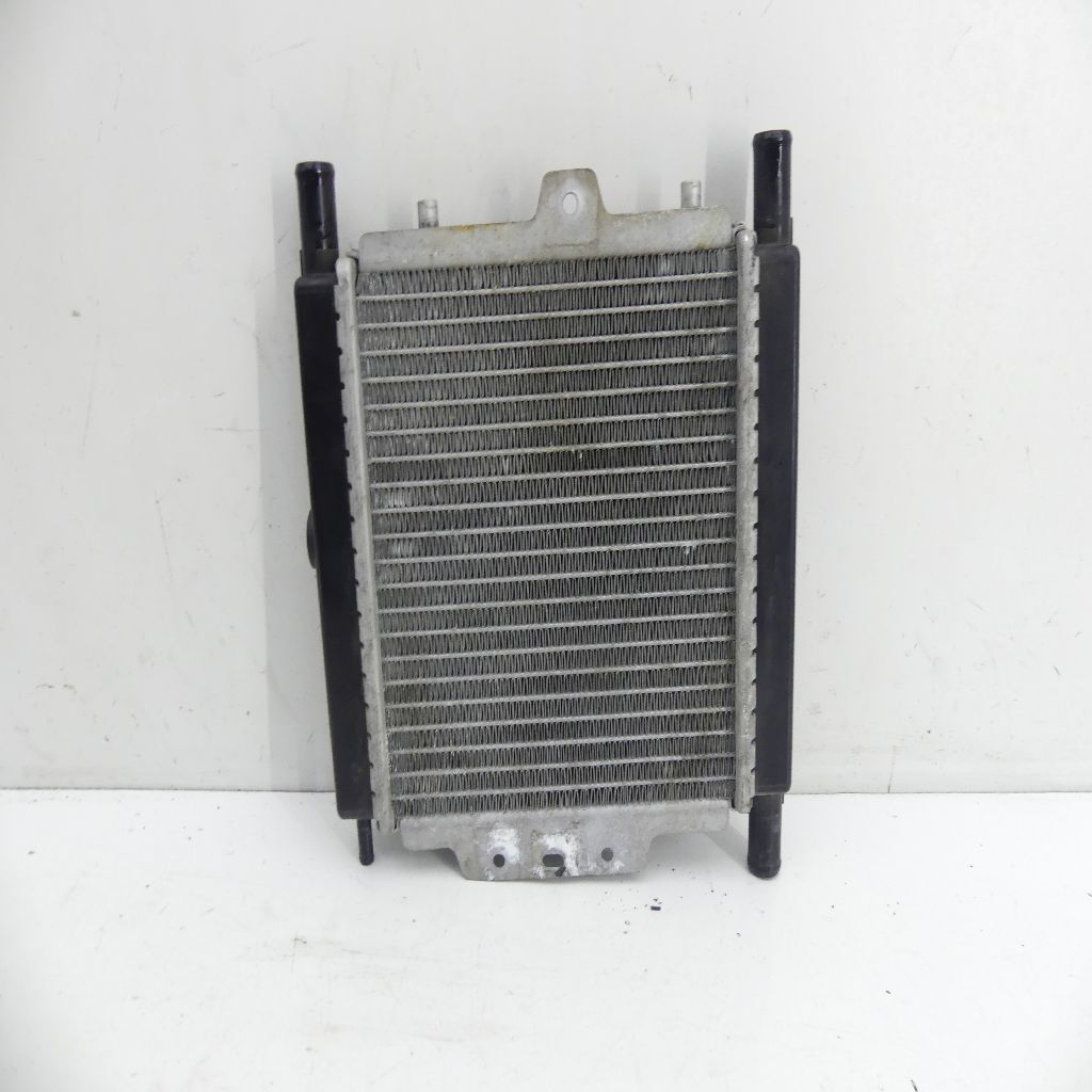Peugeot Satelis 125 EZ:09 Radiator Water Cooler 28482 | eBay UK