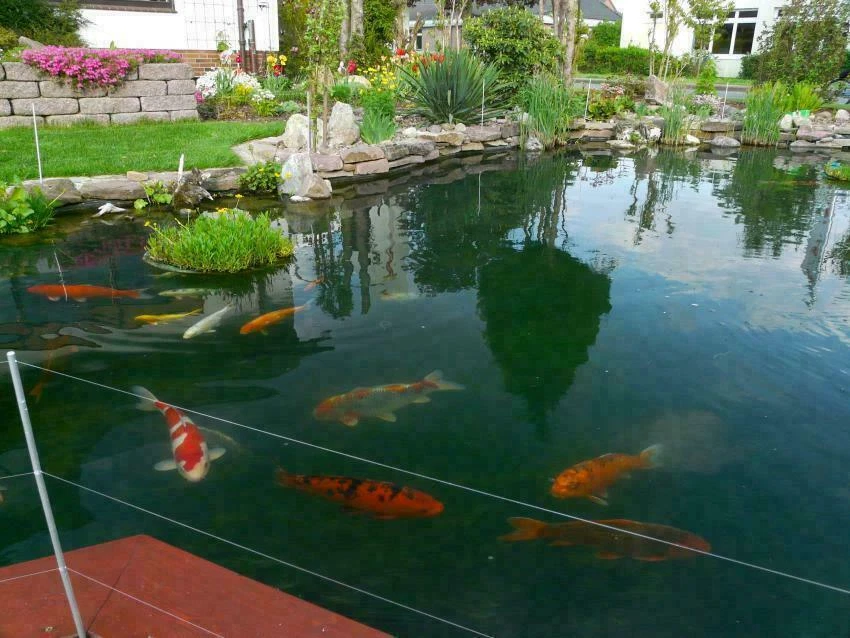 SIKA Premium PVC Teichfolie 1mm Oliv 8,78€/m² für Gartenteich Fischteich Bach - Bild 2 von 3